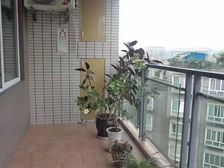 碧水天城3室2厅2卫南朝向55.6万元/套出售