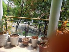 盛世桃源3室2厅2卫南朝向50.0万元/套出售