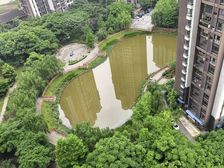 古镇寿城水岸3室2厅2卫南朝向46.8万元/套出售