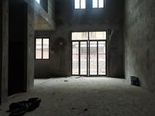 联排别墅 花园100平 地铁站 南北朝向 力帆棠悦