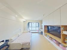 地铁口高档社区+东南2居室+满五+全新精装修+全明格局