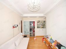 杨浦东外滩中环和乐苑,电梯次新房+双南两房