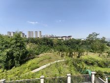 直降100万 礼嘉江湾 法式双拼别墅 看公园视野