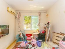 川沙·舜川公寓·3室·2厅