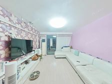 08年商品房 电梯中层 南北全明2房 板正户型 看房自住诚售