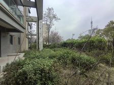 100平端户私家花园 龙湖春江天镜 一梯一户 亏本几十颗急售