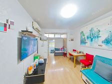 一楼朝南垫高不潮湿天井已搭随时看房近轨交