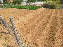 独门独院房子300多平土地0多平可过户可翻盖集体供暖