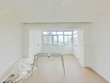 精装修双楠西边套+3.11.12.23号线4轨交汇+徐汇滨江