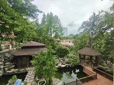半山独栋2+1全采光U型花园800平花园假山锦鲤池凉亭保真
