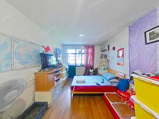 只有一家,没有之一,房东诚意出售,楼层好,采光刺眼