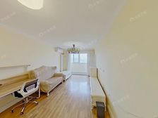 团结湖北五条 南向 大客厅 两居室 楼龄新有电梯 采光视野好