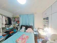 明珠A+双南+无抵押+电梯两房+世纪大道地铁