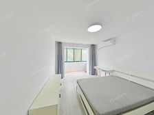 虹桥·中紫小区·1室·0厅