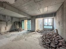 双书包,板式大顶跃带露台,实得300+