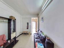 昌岗中路 2 房 54.5 方