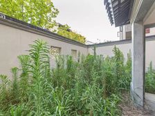 绿城江南里 叠墅 下叠 边户 大院子 毛坯 随时看房