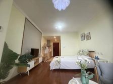 主做龙湖 可贷款36平米49万