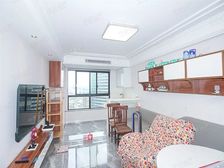 滨江江景房,可看杨浦大桥,豪华装修拎包入住+地铁口
