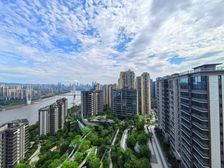 江北嘴半山豪宅大平层 朝南 正看江 全套房设计 电梯入户!!