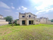 二期凡尔赛法式独栋,单层大,一亩多大花园 急售