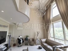 正南 润泽庄园 5室2厅 精装修