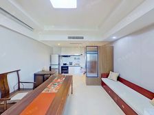 彩虹城·龙禧硅谷酒店广场·1室·1厅 租金高