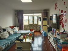 南北通透沿湖北区3室2厅精装修