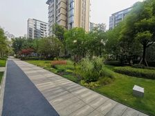 龙湖昱湖壹号枋园 龙湖品质,环境好,物业好 近礼嘉天街