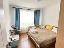 三林世博家园南向一居 满五 拎包入住