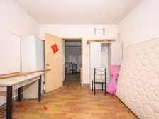 张江东,房龄新,业主诚心出售,楼层好宜居,高绿化