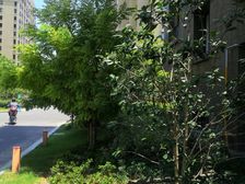 文庭景苑2室1厅1卫南朝向160.0万元/套出售