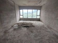 电梯房 3室 南北通透 毛坯 181平 房东急置换 诚心出售