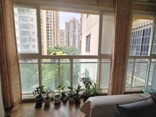 晶山新城际3室2厅2卫南朝向51.8万元/套出售