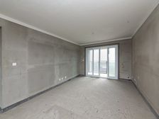 新出湖景房星河丹堤五区 毛坯 特价急卖 随时看房