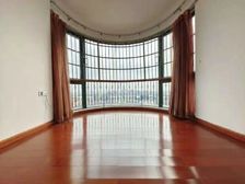 (包税)第三金碧花园 黄金楼层双阳台 南向望花园 业主有心卖