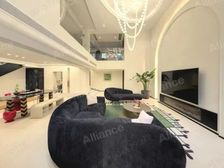 渝北照母山 精装合院别墅 带电梯 现代简约风格 拎包入户