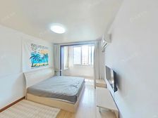 一房居家装修,书包房低总价,看房随时有钥匙