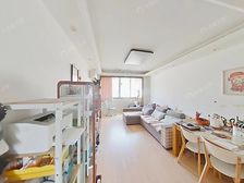 世博必看好房!送20平使用面积,轨交7/13号双轨小区口