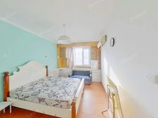 白家庄八0 东大桥 农丰里核桃园北里 户型方正无遮挡