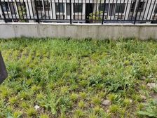 金科·集美文苑3室2厅2卫南朝向70.0万元/套出售