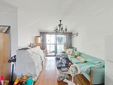 新上必看好房!自住精装修,景观楼层,诚意出售,可小刀