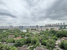 棕榈泉 板式洋房 头排看湖 带露台 视野非常好 推荐 必看!