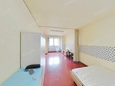 古美罗阳·新梅花苑一期·1室·1厅