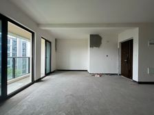 石马河 中粮天悦壹号悦江三房176万