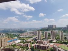 礼嘉双轻轨,外观媲美舜山府。一线看江大平层 298万 保真!