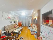 北蔡·绿星小区-下南路225弄·2室·2厅