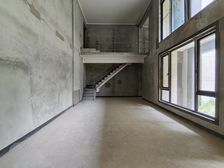 礼嘉天街旁 叠拼别墅带花园带地下室 急售