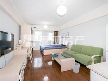 正南唐宁ONE1室1厅精装修