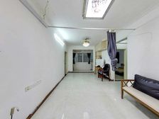 金田花苑 2 房 77 方